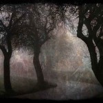 a path a path