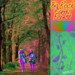 big-rock-candy-forest big-rock-candy-forest