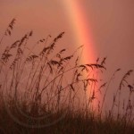 sunrise-rainbow-sea-oats-2