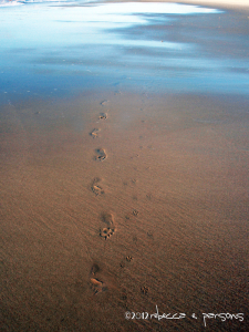 Footprints in sand #HolidayGuide